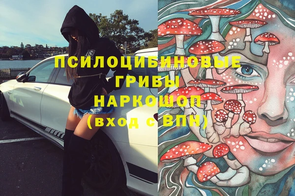 бошки Алексеевка