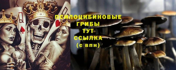герыч Алексин