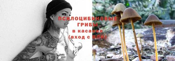 бошки Алексеевка